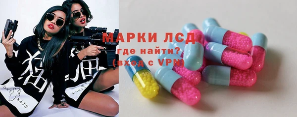 индика Алексеевка