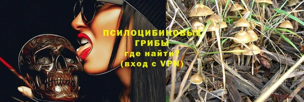 индика Алексеевка